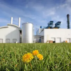 Elektrownia Siedlce: Kluczowe informacje o produkcji energii i planach rozwoju