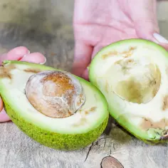 Dwie połówki awokado z widocznymi brązowymi nitkami w miąższu. Jedna połówka zawiera pestkę.