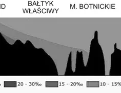 Jakie jest zasolenie Bałtyku? Zaskakujące różnice w jego wartościach