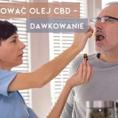 Jak stosować olejek konopny - skuteczne metody i dawkowanie bez skutków ubocznych