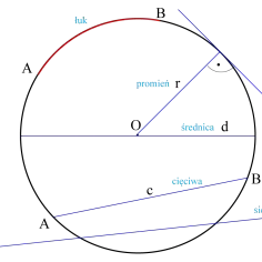 Geometryczny rysunek z elementami okręgu: łuk, promień, styczna, średnica, cięciwa i sieczna.