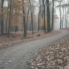 Szybki marsz czy bieganie - co wybrać dla lepszej kondycji?