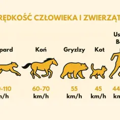 Jak szybko biega człowiek? Zaskakujące fakty o prędkości biegu