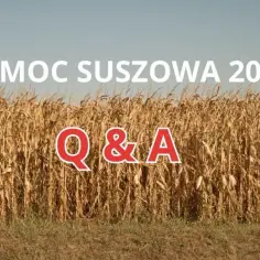Jak poprawnie wypełnić aplikację suszową i uniknąć błędów – praktyczny poradnik