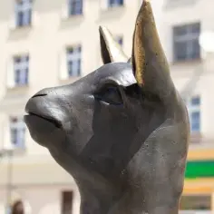 Najlepsze atrakcje Kędzierzyn Koźle, które musisz zobaczyć