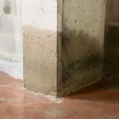 Jak uszczelnić przeciekający beton i zapobiec kosztownym naprawom