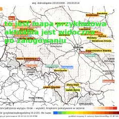 Najlepsze miejsca gdzie są grzyby na Dolnym Śląsku: aktualna mapa zbiorów