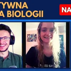 Jak uczyć się biologii rozszerzonej skutecznie i bez stresu przed maturą