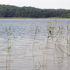 Jezioro Choczewskie - raj dla turystów i wędkarzy na Pomorzu