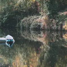 Gdzie znaleźć jezioro z plażą jak z pocztówki? 10 polskich perełek