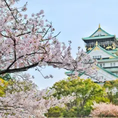 Japonia o każdej porze roku: Idealny termin twojej wymarzonej podróży