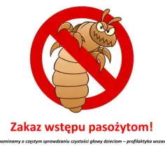 Wszy w przedszkolu? Kiedy posłać dziecko i uniknąć przykrych niespodzianek