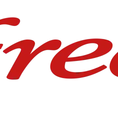 Je n'ai pas reçu ma carte SIM Free : solutions et étapes à suivre