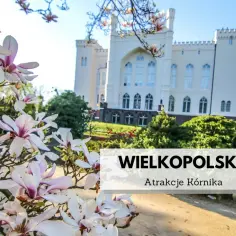 Atrakcje Kórnik: Odkryj najciekawsze miejsca, które musisz zobaczyć