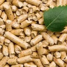 Jak produkować pellet: Kluczowe materiały i maszyny do sukcesu