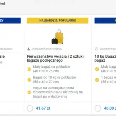 Ile bagażu można zabrać do samolotu Ryanair? Sprawdź limity i zasady