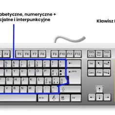 Jak szybko odblokować cyfry na klawiaturze komputera czy laptopa