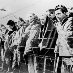 Kiedy było wyzwolenie Auschwitz? Poznaj znaczenie tego wydarzenia