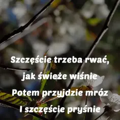 Szczęście trzeba rwać jak świeże wiśnie nuty - historia i nuty tanga