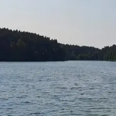 Jezioro Borówno Wielkie - tajemnice, które musisz poznać