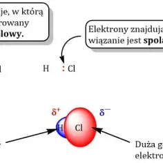 Co to jest dipol w chemii? Zrozumienie jego roli i właściwości