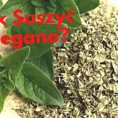 Jak suszyć oregano w domu - proste metody, które zachowają smak