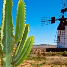 Fuerteventura atrakcje – odkryj nieznane miejsca i wyjątkowe doświadczenia
