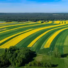 Forum Roztocze: Twoje źródło inspiracji i porad turystycznych