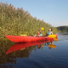 Biebrza spływy kajakowe: najlepsze trasy i porady dla każdego kajakarza