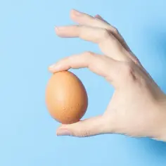 Ile kcal ma jajko? Poznaj kaloryczność różnych rodzajów jajek