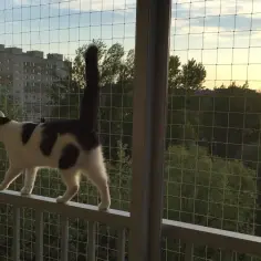 Ile kosztuje siatka na okno? Ceny różnych moskitier i montażu.