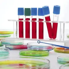 Jakie badania hormonalne dla kobiet warto wykonać dla zdrowia i równowagi?