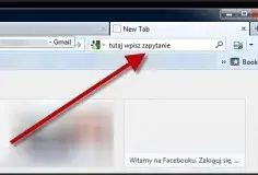 Czym się różni wyszukiwarka od przeglądarki? Ważne różnice, które musisz znać