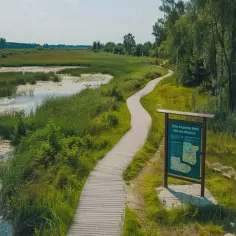 Poleski Park Narodowy: 7 Fascynujących Ciekawostek dla Odwiedzających