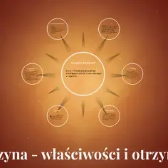 Z czego jest benzyna? Odkryj skład i proces produkcji tego paliwa
