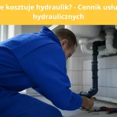 Ile bierze hydraulik od punktu? Sprawdź, co wpływa na ceny usług