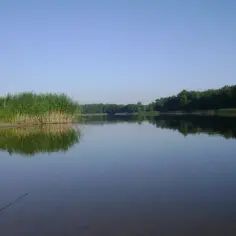 Jezioro Łąkie - największy akwen w gminie Skępe: mapa, głębokość i atrakcje