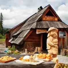 Bacówka Wola: Smak domowych dań w sercu Katowic, sprawdź menu