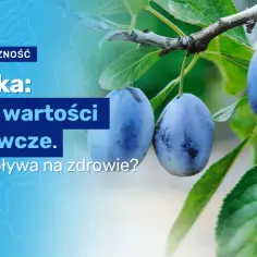 Ile kcal mają śliwki świeże i suszone - poznaj prawdziwą wartość odżywczą