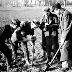 Dawna opłata od ziemi: poznaj historię podatków gruntowych w Polsce
