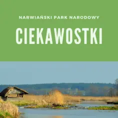 Jakie ciekawostki o Narwiańskim Parku Narodowym Cię zaskoczą?