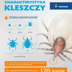 Jak rozmnażają się kleszcze i jak skutecznie chronić się przed ich inwazją