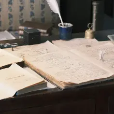 Pas cnoty damski: historia i znaczenie, które fascynują