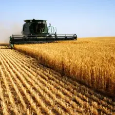 Czy agroturystyka jest działalnością gospodarczą? Poznaj kluczowe informacje