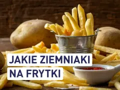 Złociste frytki w metalowym wiaderku i surowe ziemniaki na drewnianym stole. Pytanie brzmi: jakie ziemniaki na frytki?