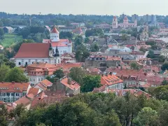 Widok na Wilno z wzgórza Giedymina. Czerwone dachy, białe kościoły i zielone drzewa tworzą malowniczy krajobraz.