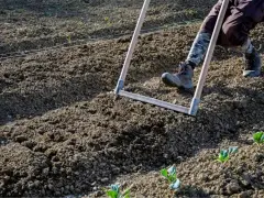 Persona che lavora il terreno con un rastrello, preparando l'orto per la semina.