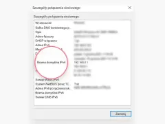Szczegóły połączenia sieciowego: Brama domyślna IPv4 to adres IP routera 192.168.0.1.