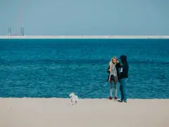 Gdańsk: Z centrum na plażę jak szybko i wygodnie?