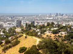 Widok na Los Angeles, miasto śmierci, z wzgórz porośniętych suchą trawą i drzewami. W oddali widać drapacze chmur.